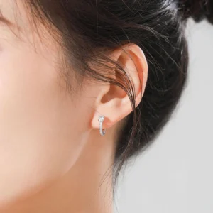 Classic Round Zircon Hoop Earrings 925 Sterling Silver