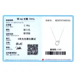 Zircon Romantic Heart Lock Design Necklace Sterling Silver