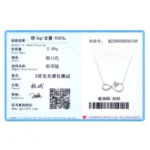 Infinite Love Heart Shining CZ Necklace Sterling Silver
